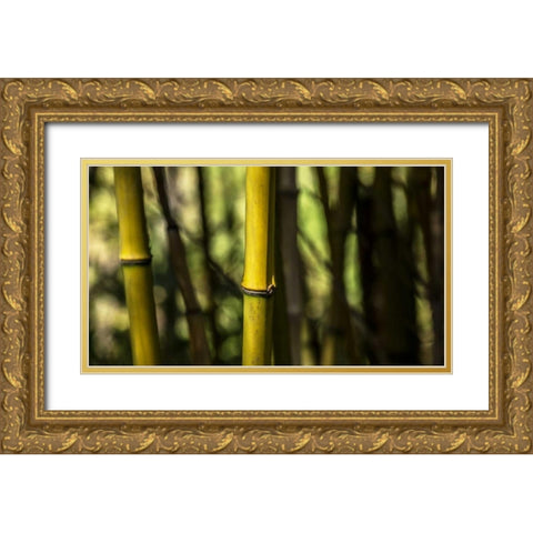 Bamboo Afternoon III Gold Ornate Wood Framed Art Print with Double Matting by Crane, Rita
