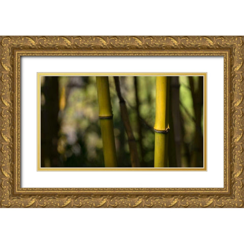 Bamboo Afternoon IV Gold Ornate Wood Framed Art Print with Double Matting by Crane, Rita