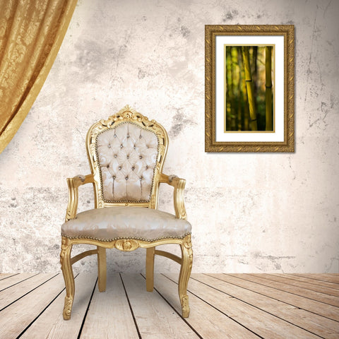 Bamboo Afternoon VII Gold Ornate Wood Framed Art Print with Double Matting by Crane, Rita
