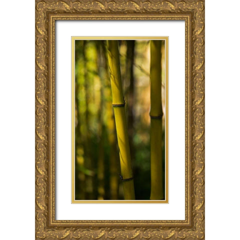 Bamboo Afternoon VII Gold Ornate Wood Framed Art Print with Double Matting by Crane, Rita