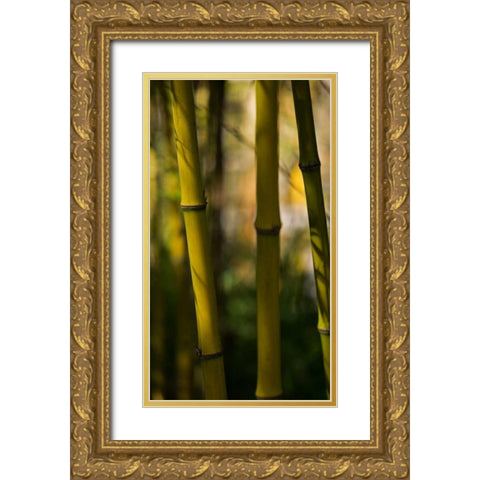 Bamboo Afternoon VIII Gold Ornate Wood Framed Art Print with Double Matting by Crane, Rita