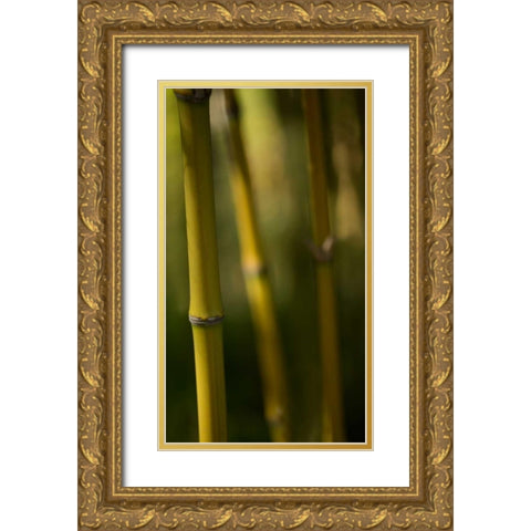 Bamboo Afternoon IX Gold Ornate Wood Framed Art Print with Double Matting by Crane, Rita