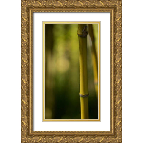 Bamboo Afternoon X Gold Ornate Wood Framed Art Print with Double Matting by Crane, Rita