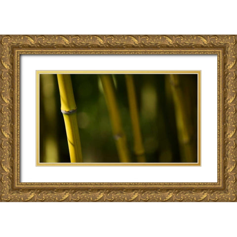 Bamboo Afternoon V Gold Ornate Wood Framed Art Print with Double Matting by Crane, Rita