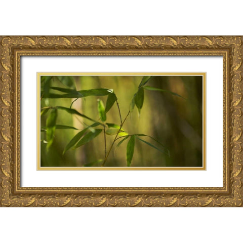 Bamboo Afternoon XI Gold Ornate Wood Framed Art Print with Double Matting by Crane, Rita