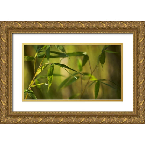 Bamboo Afternoon XII Gold Ornate Wood Framed Art Print with Double Matting by Crane, Rita