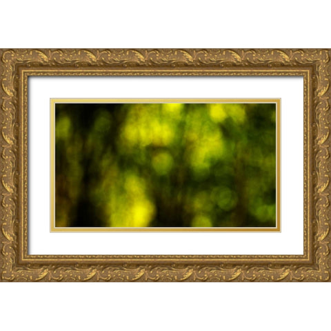 Dream Forest II Gold Ornate Wood Framed Art Print with Double Matting by Crane, Rita