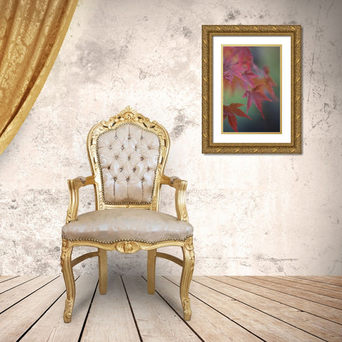 Japanese Maple V Gold Ornate Wood Framed Art Print with Double Matting by Crane, Rita