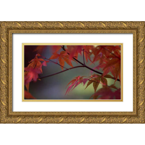 Sunlight Maple II Gold Ornate Wood Framed Art Print with Double Matting by Crane, Rita