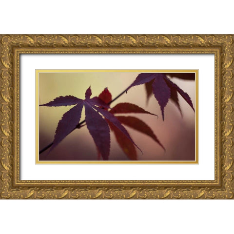Burgundy Maple I Gold Ornate Wood Framed Art Print with Double Matting by Crane, Rita