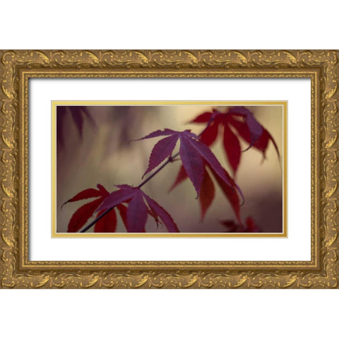 Burgundy Maple II Gold Ornate Wood Framed Art Print with Double Matting by Crane, Rita