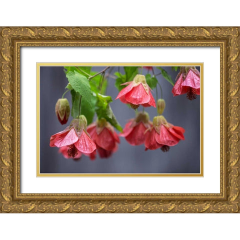 Chinese Lantern I Gold Ornate Wood Framed Art Print with Double Matting by Crane, Rita