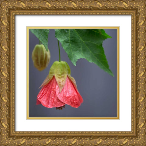 Chinese Lantern III Gold Ornate Wood Framed Art Print with Double Matting by Crane, Rita