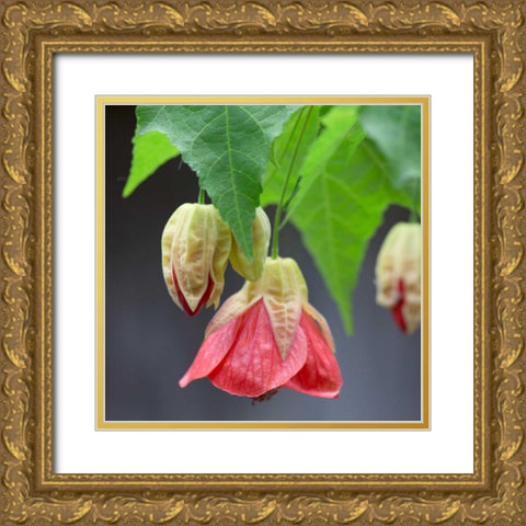 Chinese Lantern IV Gold Ornate Wood Framed Art Print with Double Matting by Crane, Rita