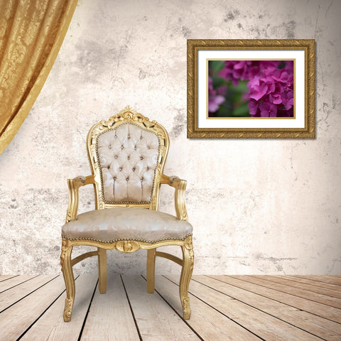 Pink Hydrangeas II Gold Ornate Wood Framed Art Print with Double Matting by Crane, Rita