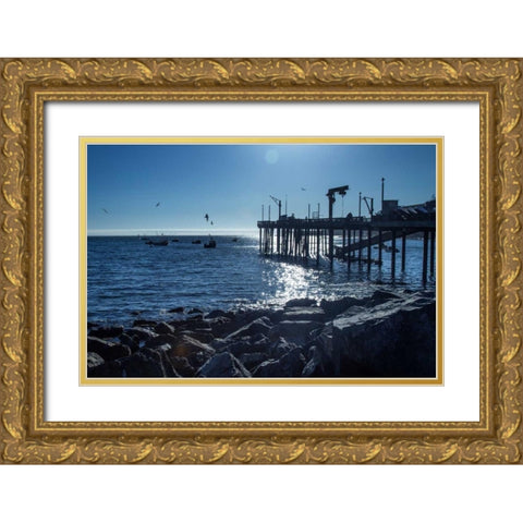 Fishing Boats II Gold Ornate Wood Framed Art Print with Double Matting by Crane, Rita