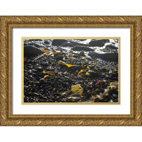 Rocky Shore III Gold Ornate Wood Framed Art Print with Double Matting by Crane, Rita