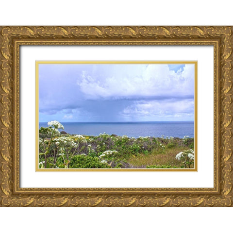 Spring Morning II Gold Ornate Wood Framed Art Print with Double Matting by Crane, Rita