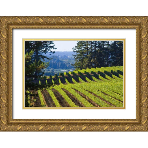 Sunlit Vineyard I Gold Ornate Wood Framed Art Print with Double Matting by Crane, Rita