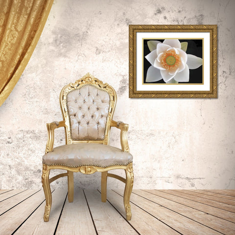 Lotus II Gold Ornate Wood Framed Art Print with Double Matting by Christensen, Jim