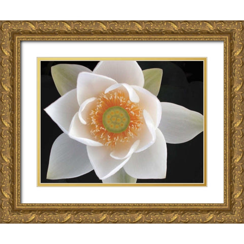 Lotus II Gold Ornate Wood Framed Art Print with Double Matting by Christensen, Jim