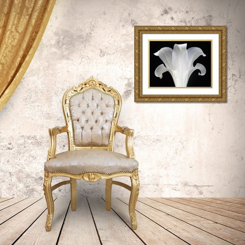 Lily on Black III Gold Ornate Wood Framed Art Print with Double Matting by Christensen, Jim