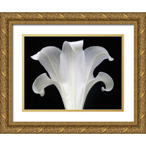 Lily on Black III Gold Ornate Wood Framed Art Print with Double Matting by Christensen, Jim