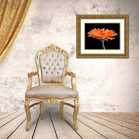Gerber Angle II Gold Ornate Wood Framed Art Print with Double Matting by Christensen, Jim