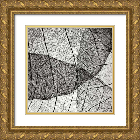 Leaf Designs IV BW Gold Ornate Wood Framed Art Print with Double Matting by Christensen, Jim