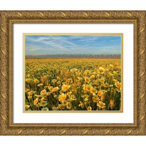 Carrizo I Gold Ornate Wood Framed Art Print with Double Matting by Geistweite, Mark