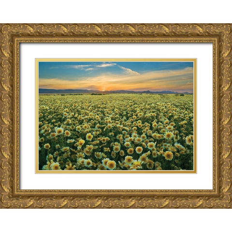 Carrizo II Gold Ornate Wood Framed Art Print with Double Matting by Geistweite, Mark