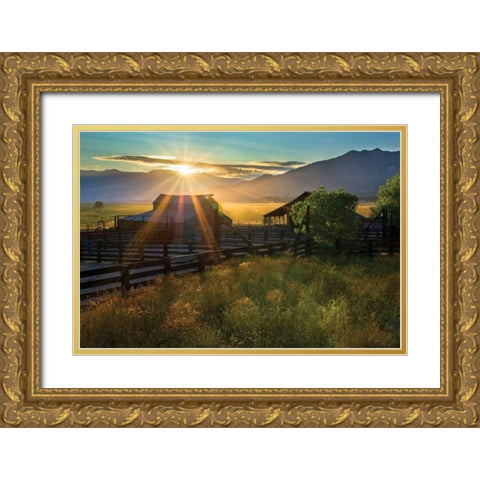 Walker Basin II Gold Ornate Wood Framed Art Print with Double Matting by Geistweite, Mark