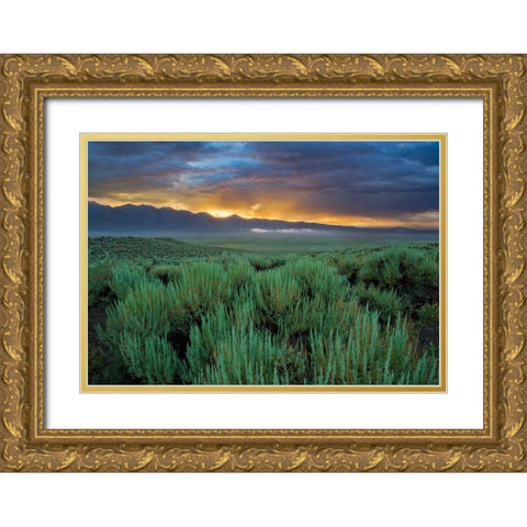 Benton Crossing II Gold Ornate Wood Framed Art Print with Double Matting by Geistweite, Mark