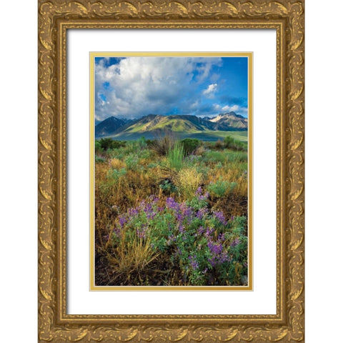 Eastern Sierra III Gold Ornate Wood Framed Art Print with Double Matting by Geistweite, Mark