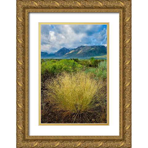 Eastern Sierra IV Gold Ornate Wood Framed Art Print with Double Matting by Geistweite, Mark
