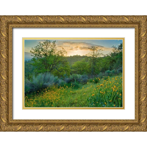 Caliente Spring I Gold Ornate Wood Framed Art Print with Double Matting by Geistweite, Mark