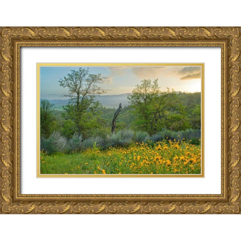 Caliente Spring II Gold Ornate Wood Framed Art Print with Double Matting by Geistweite, Mark