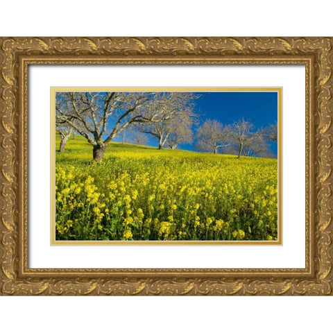Mustard Factory II Gold Ornate Wood Framed Art Print with Double Matting by Geistweite, Mark