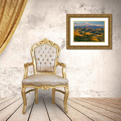 Passing Spring Gold Ornate Wood Framed Art Print with Double Matting by Geistweite, Mark
