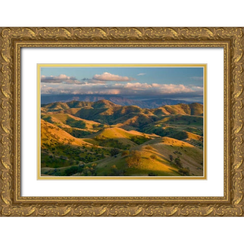 Passing Spring Gold Ornate Wood Framed Art Print with Double Matting by Geistweite, Mark