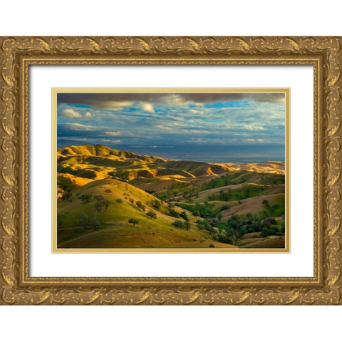 Spring Exodus Gold Ornate Wood Framed Art Print with Double Matting by Geistweite, Mark