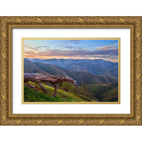 Pastel in Nature I Gold Ornate Wood Framed Art Print with Double Matting by Geistweite, Mark