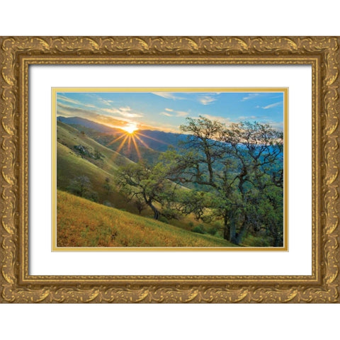 Spring Sunburst I Gold Ornate Wood Framed Art Print with Double Matting by Geistweite, Mark