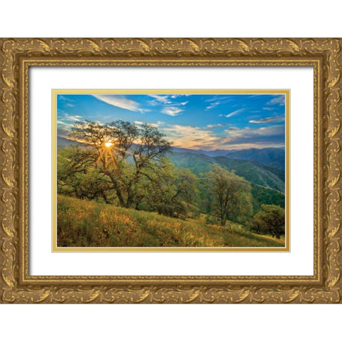 Spring Sunburst II Gold Ornate Wood Framed Art Print with Double Matting by Geistweite, Mark