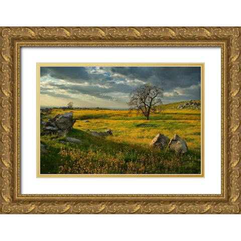 Summer Sun Gold Ornate Wood Framed Art Print with Double Matting by Geistweite, Mark