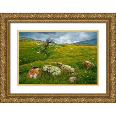 Trail Northward Gold Ornate Wood Framed Art Print with Double Matting by Geistweite, Mark