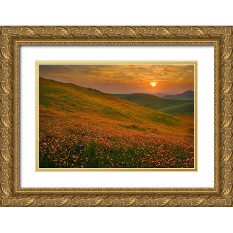 Spring Riot II Gold Ornate Wood Framed Art Print with Double Matting by Geistweite, Mark