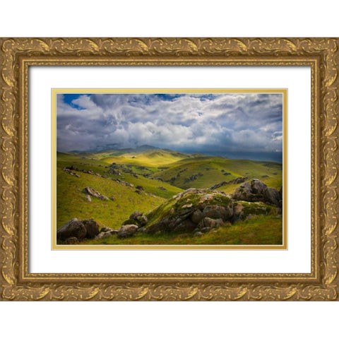 Transience I Gold Ornate Wood Framed Art Print with Double Matting by Geistweite, Mark