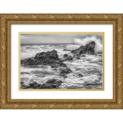 Hookipa BW Gold Ornate Wood Framed Art Print with Double Matting by Hellmann, Stan