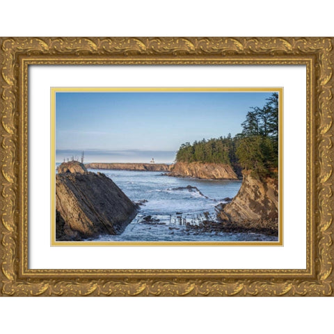 Cape Arago Lighthouse Gold Ornate Wood Framed Art Print with Double Matting by Hellmann, Stan